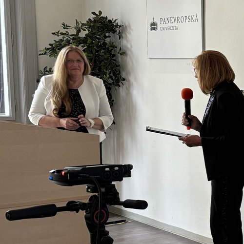 esk marketingov spolenost - Uml inteligence  dal milnk ve vuce marketingu, aneb ume pro ztek